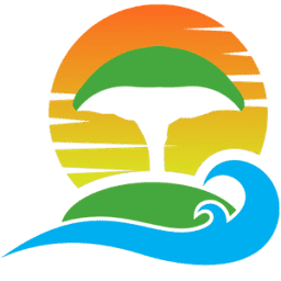 2Socotra logo