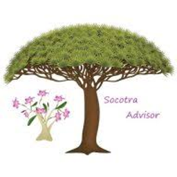 Socotra Advisor Tours logo